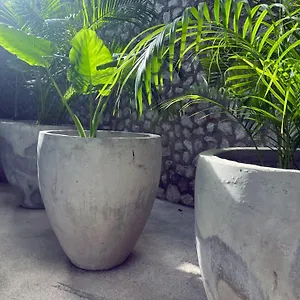 Hotel Bau, Tulum